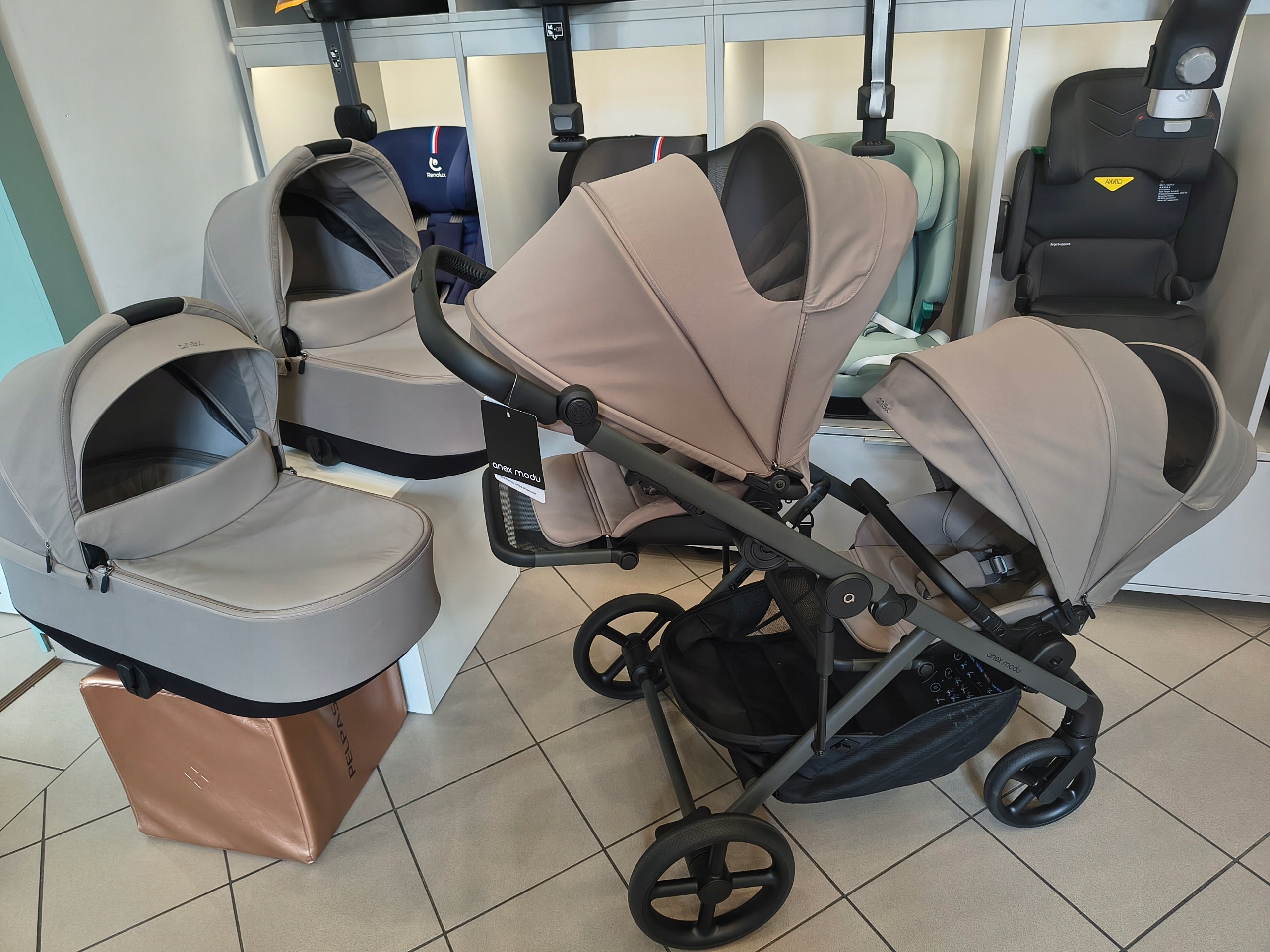 Trolley 2in1 front rear ANEX MODU Rooty MD-01 twin year after year Brand Anex
