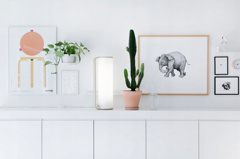 Tubo LED Finnish Anti-Depressant Lamp Packaging status original