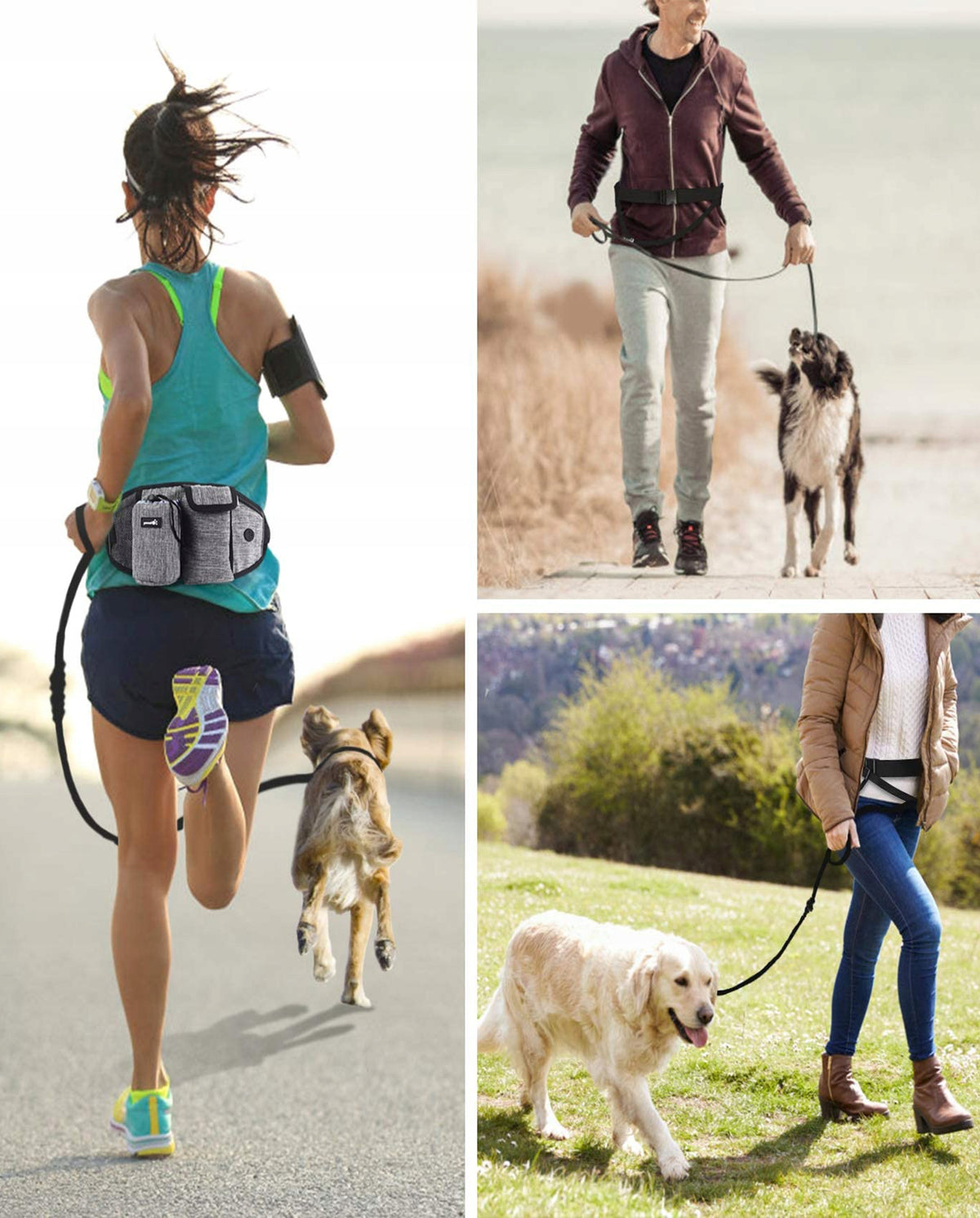 UNIVERSAL HIP BELT Lanyard for Dog Running Elastic Grey 2,5m Packaging status original