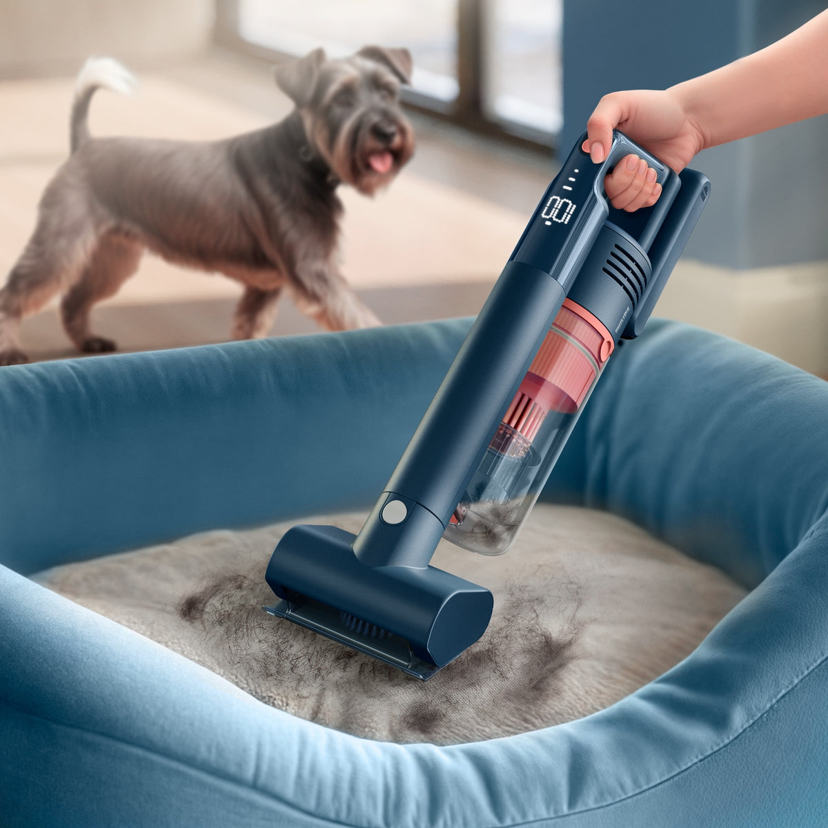 Upright vacuum cleaner Philips XC5243/10 blue Manufacturer code XC5243/10