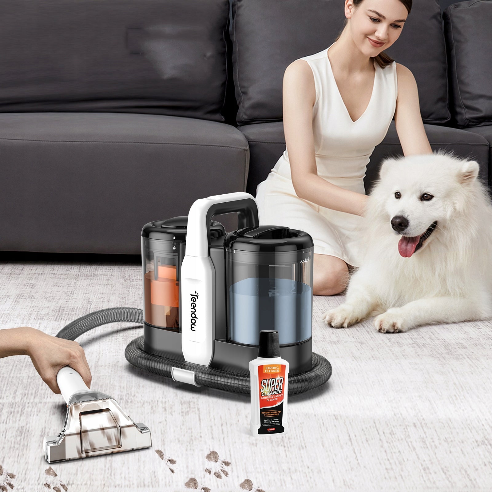 VACUUM CLEANER FOR CLEANING UPHOLSTERY AND CARPETS STRONG WET DRY 500W Manufacturer code C5