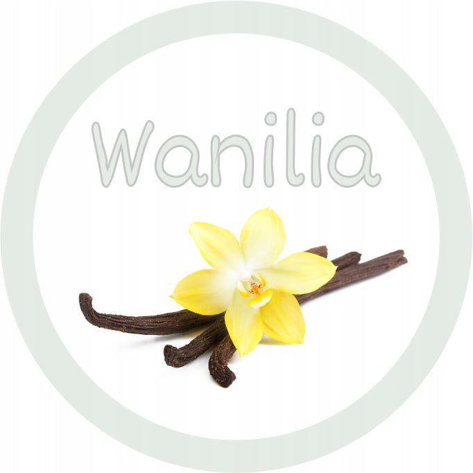 Vanilla Flavoured Sugar White Vanilla 1kg Vanilla Flavoured Dry For Cotton Candy Manufacturer code ADMAJ-CUKIER-1KG-DOYPACK-WANILIA-BIAŁY
