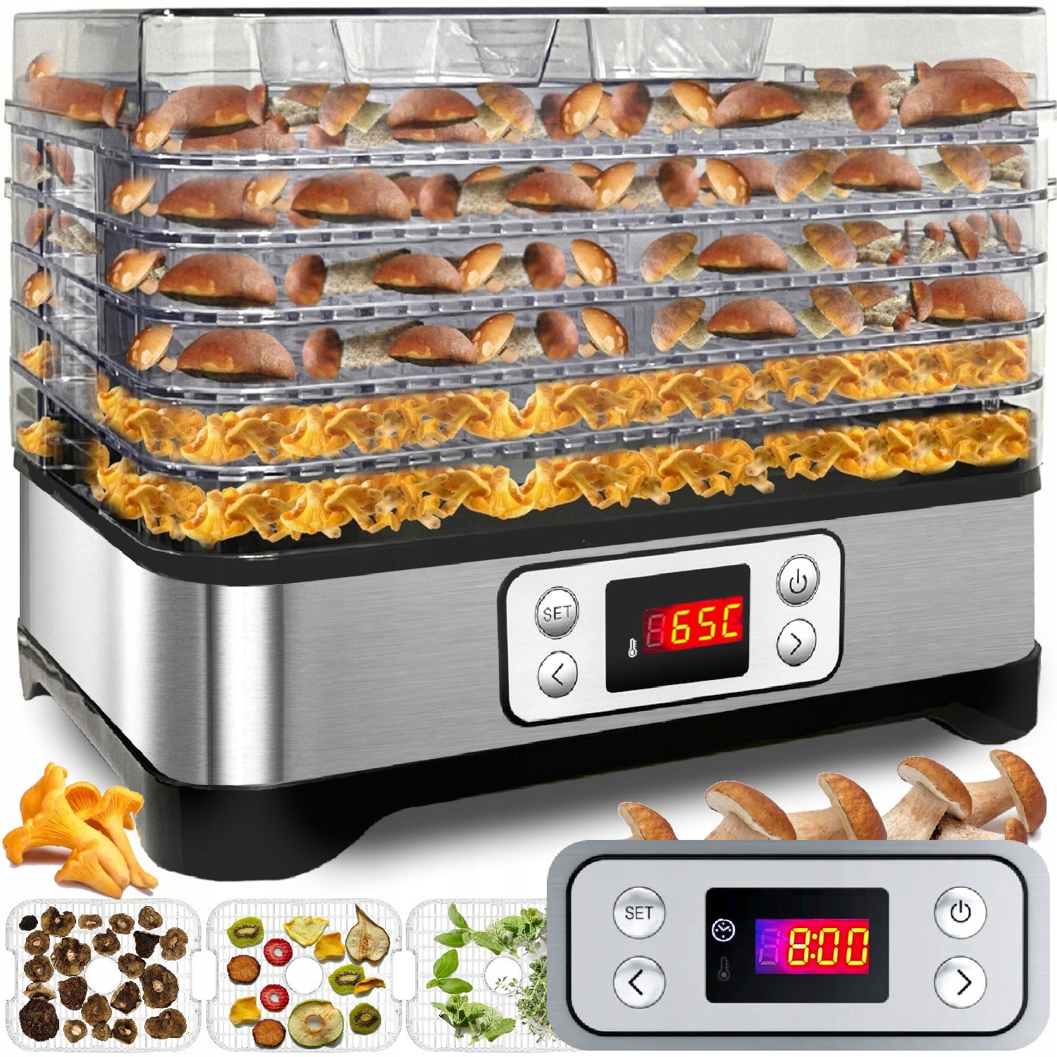 Vegetable Fruit Mushroom Dryer LARGE STRONG 500W THERMOCOUPLE ADJUSTABLE 10in1