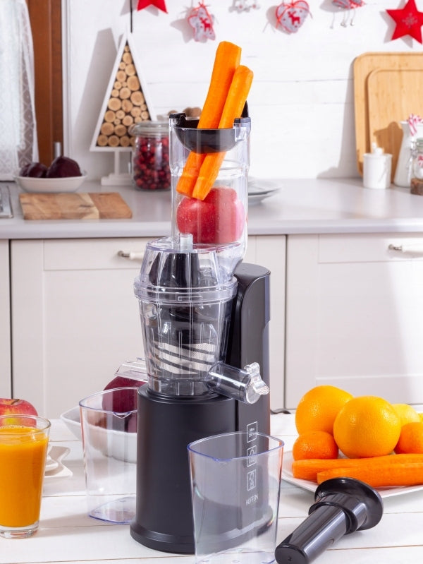 Vertical slow juicer Hoffen SJ-2143 250 W Manufacturer code SJ-2143