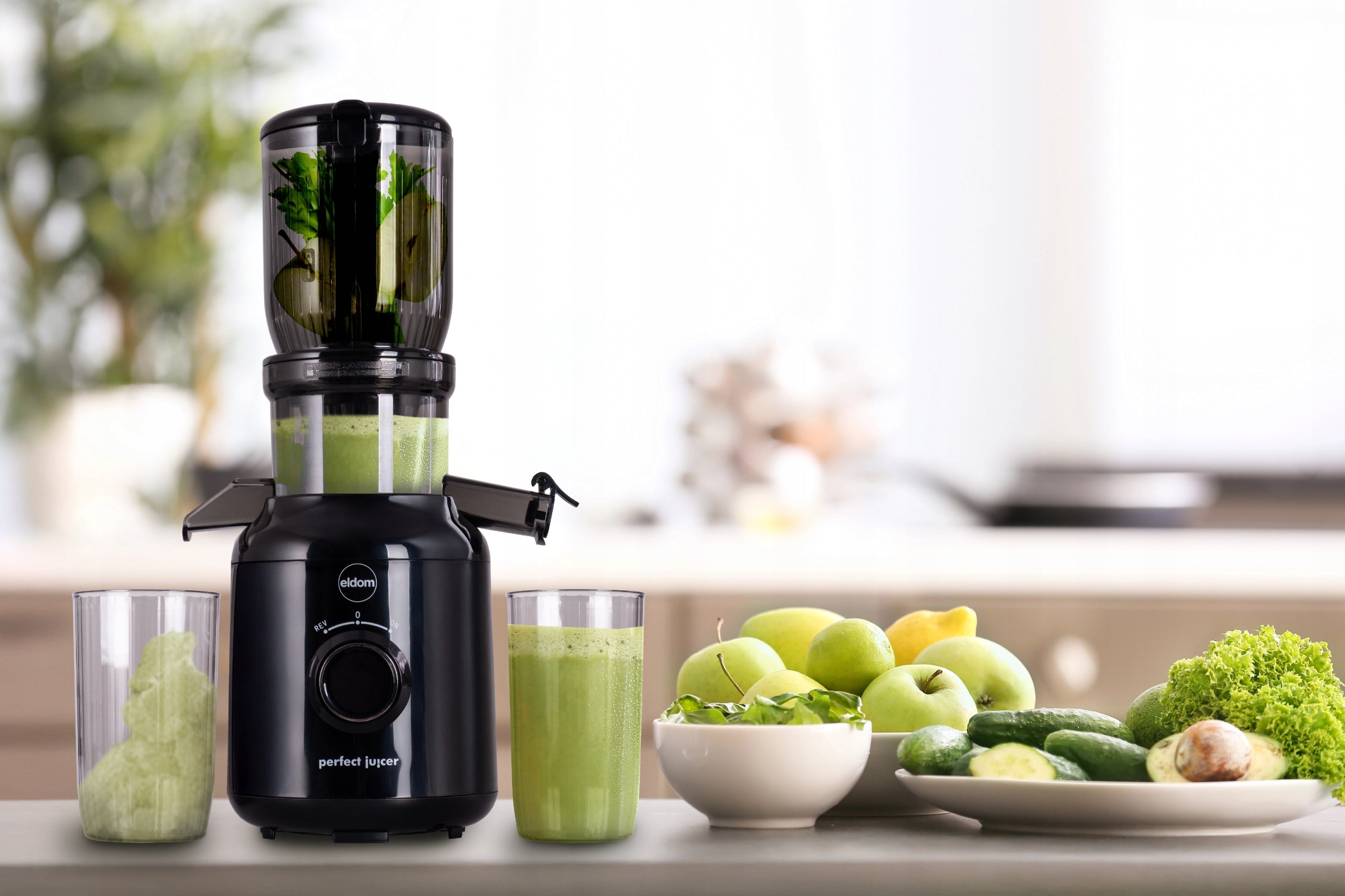 Vertical slow juicer PJ350 Eldom 250W EAN (GTIN) 5908277389499