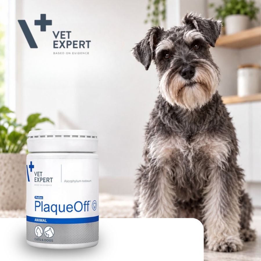 Vet Expert PlaqueOff Animal Preparation for tartar for dog and cat 20g Brand Vet Expert