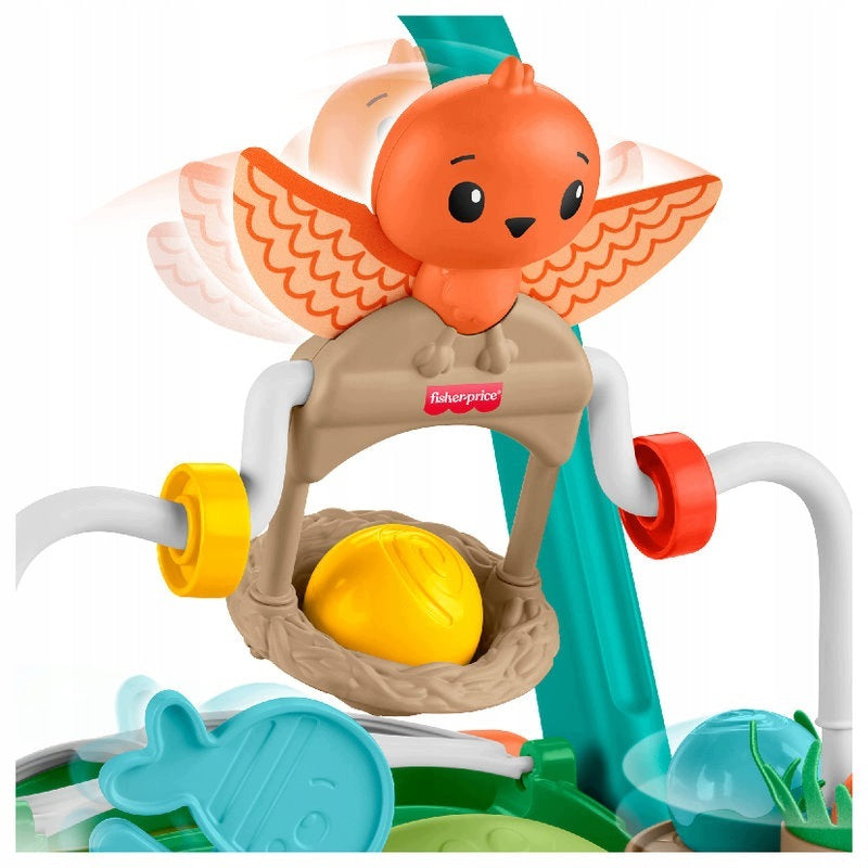WALKER PUSHER TURTLE FISHER-PRICE INTERACTIVE 2IN1 SENSORY 5 BALLS 6M+ Color multicolor