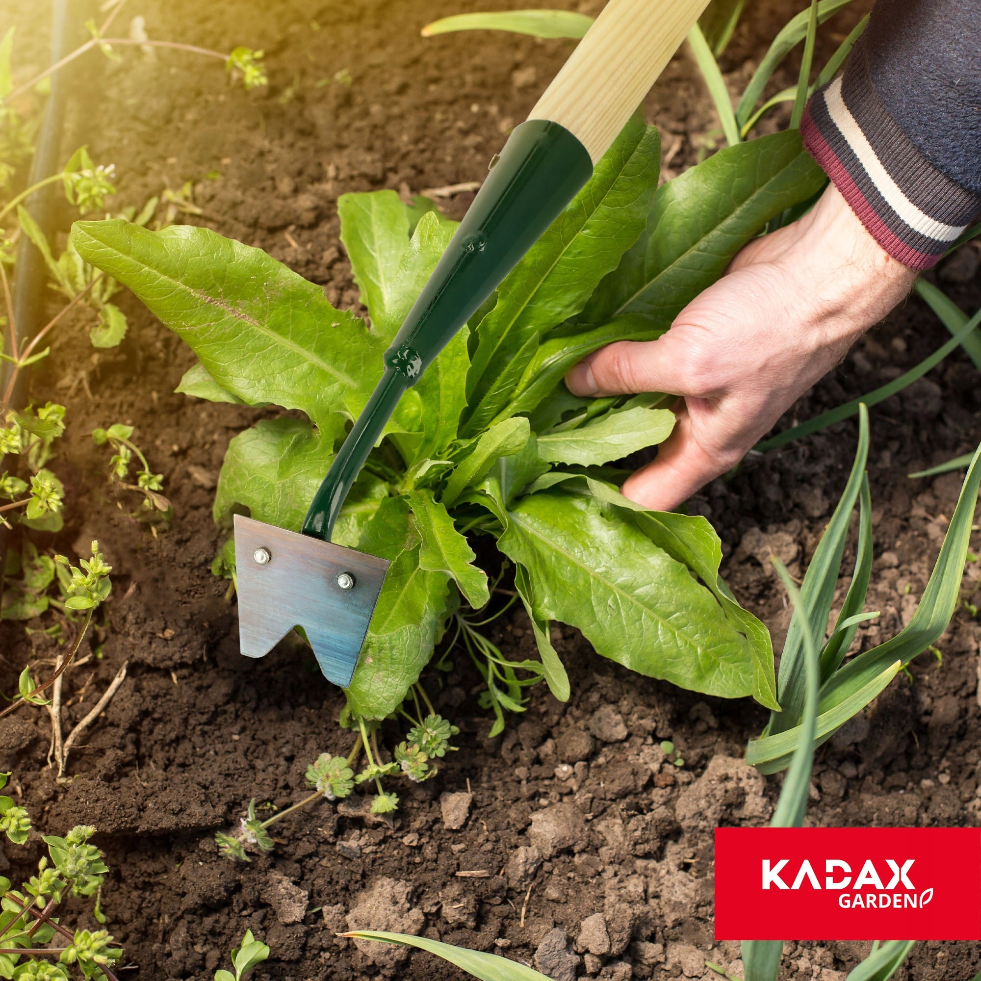 WEED PICKER WEED CUTTER 69cm Brand Kadax