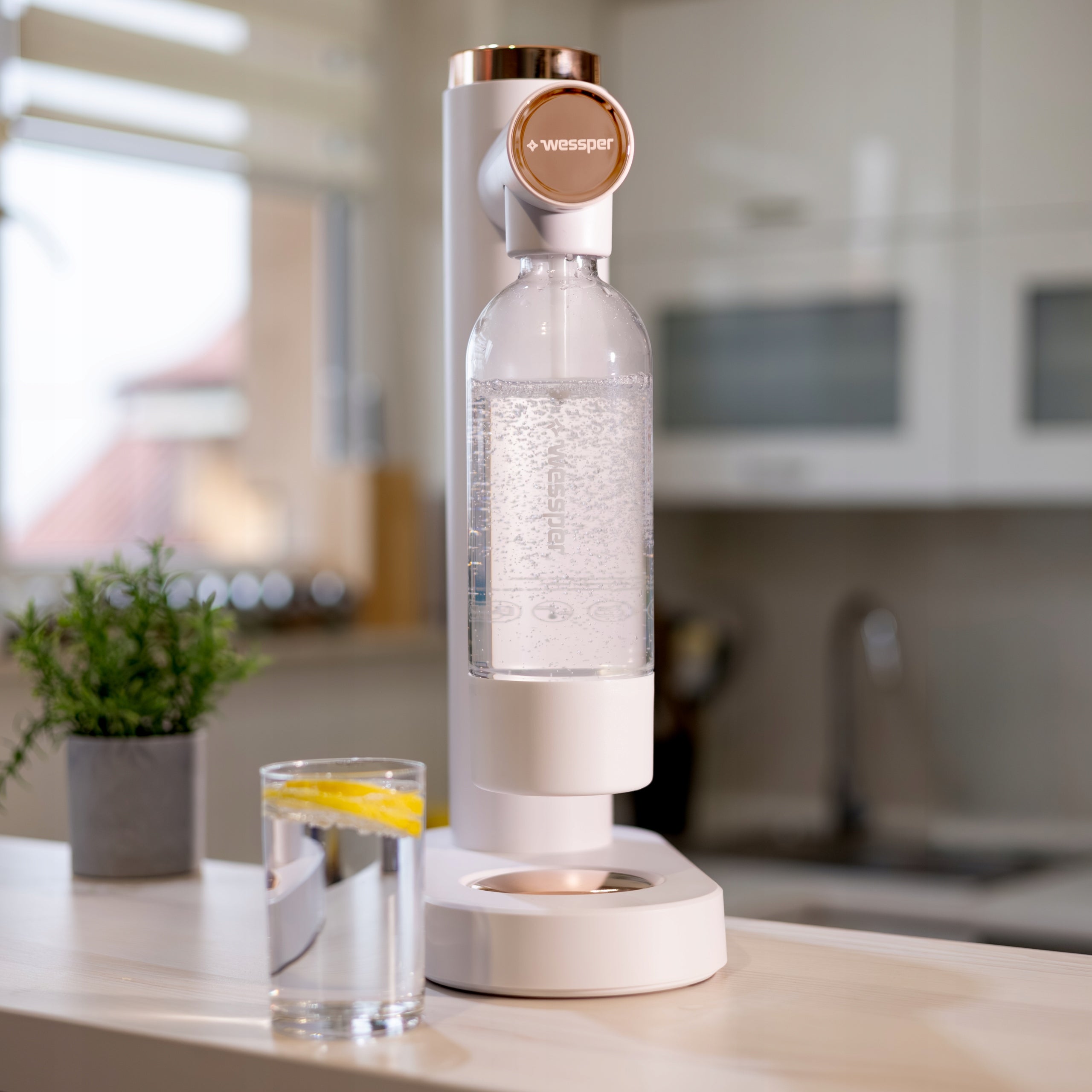 WESSPER SATURATOR FOR SPARKLING WATER S1 SODA MAKER WATER BOTTLE CARTRIDGE CO2 EAN (GTIN) 5902668914123