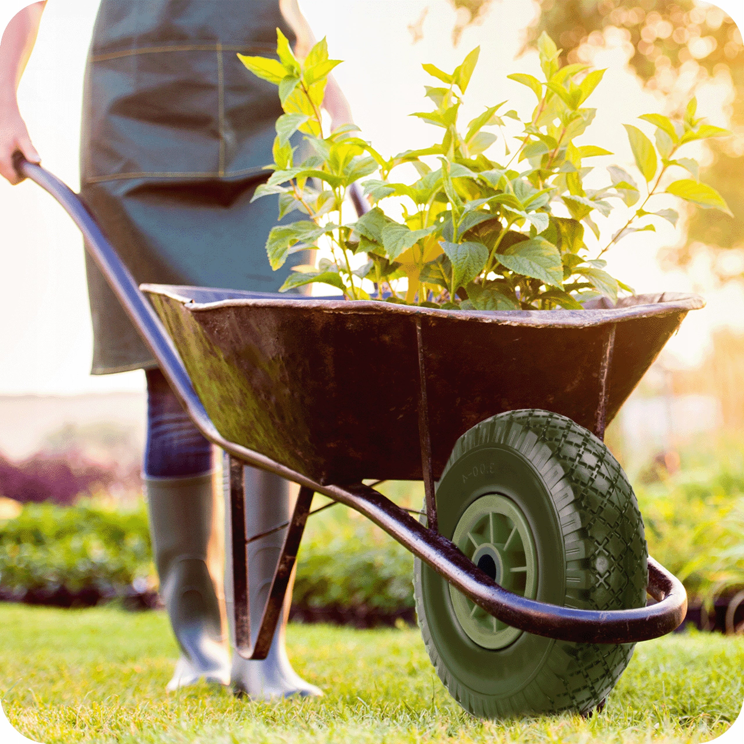 WHEELBARROW WHEEL FULL WHEELBARROW GARDEN TROLLEY TUBELESS 3.00-4 STRONG + AXLE EAN (GTIN) 5904276941362