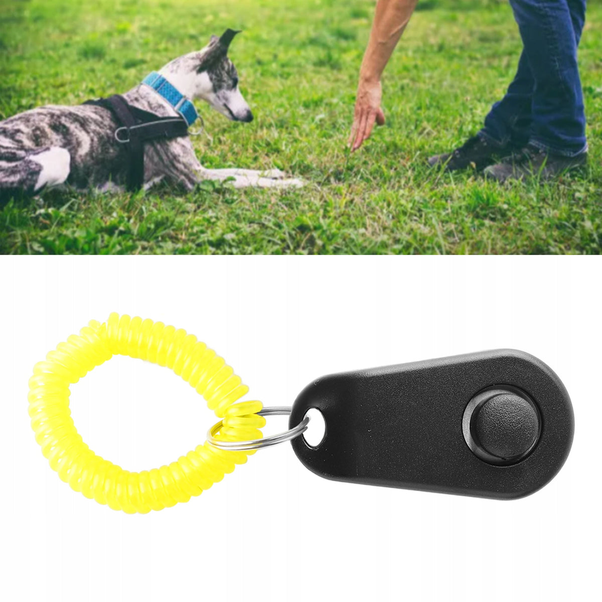 WHISTLE TRAINING CLICKER DOG TRAINING Packaging status original