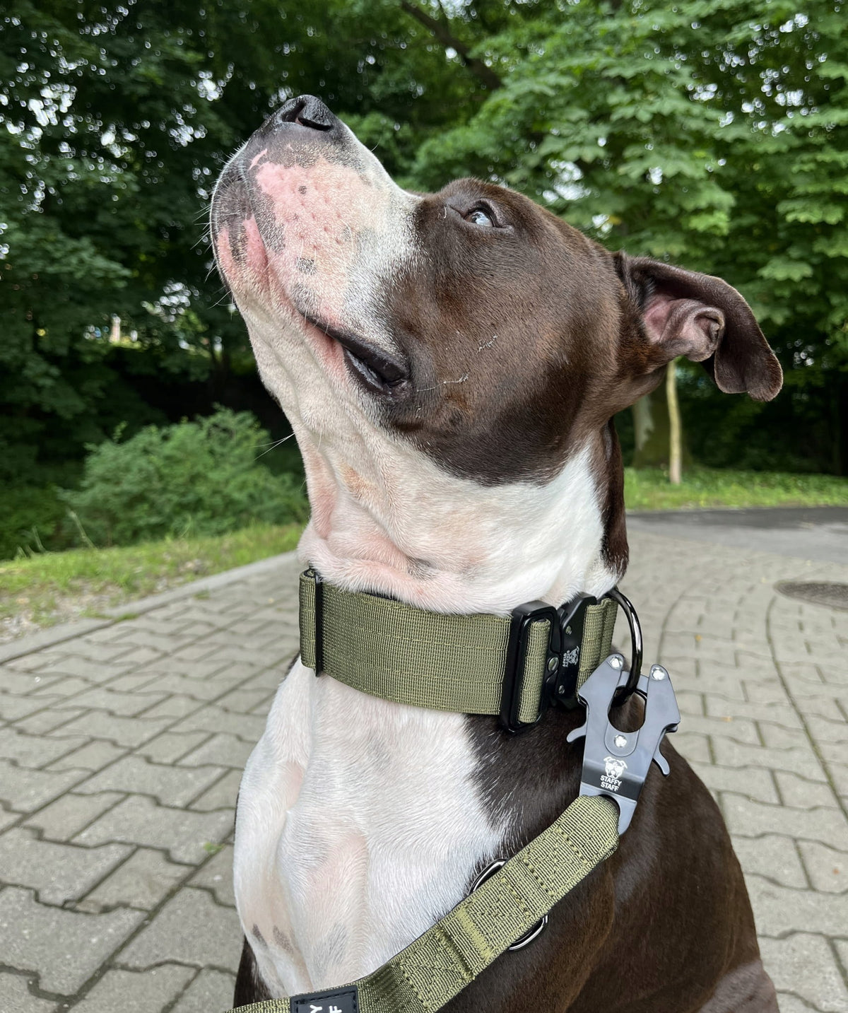 WIDE DOG COLLAR EXTREME STAFFYSTAFF GREEN 5 cm L 40-65 Manufacturer code 2BCC-77775