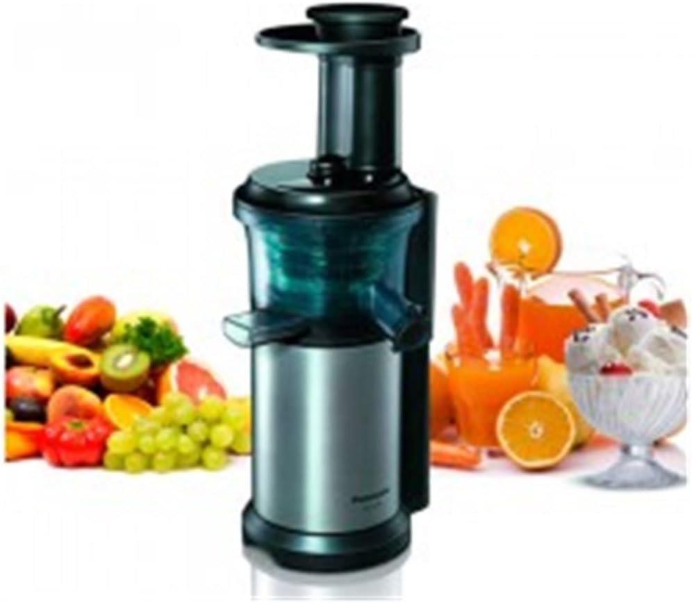 WORM JUICER 150W STAINLESS STEEL JUICE DESSERTS FROZEN QUIET MOTOR