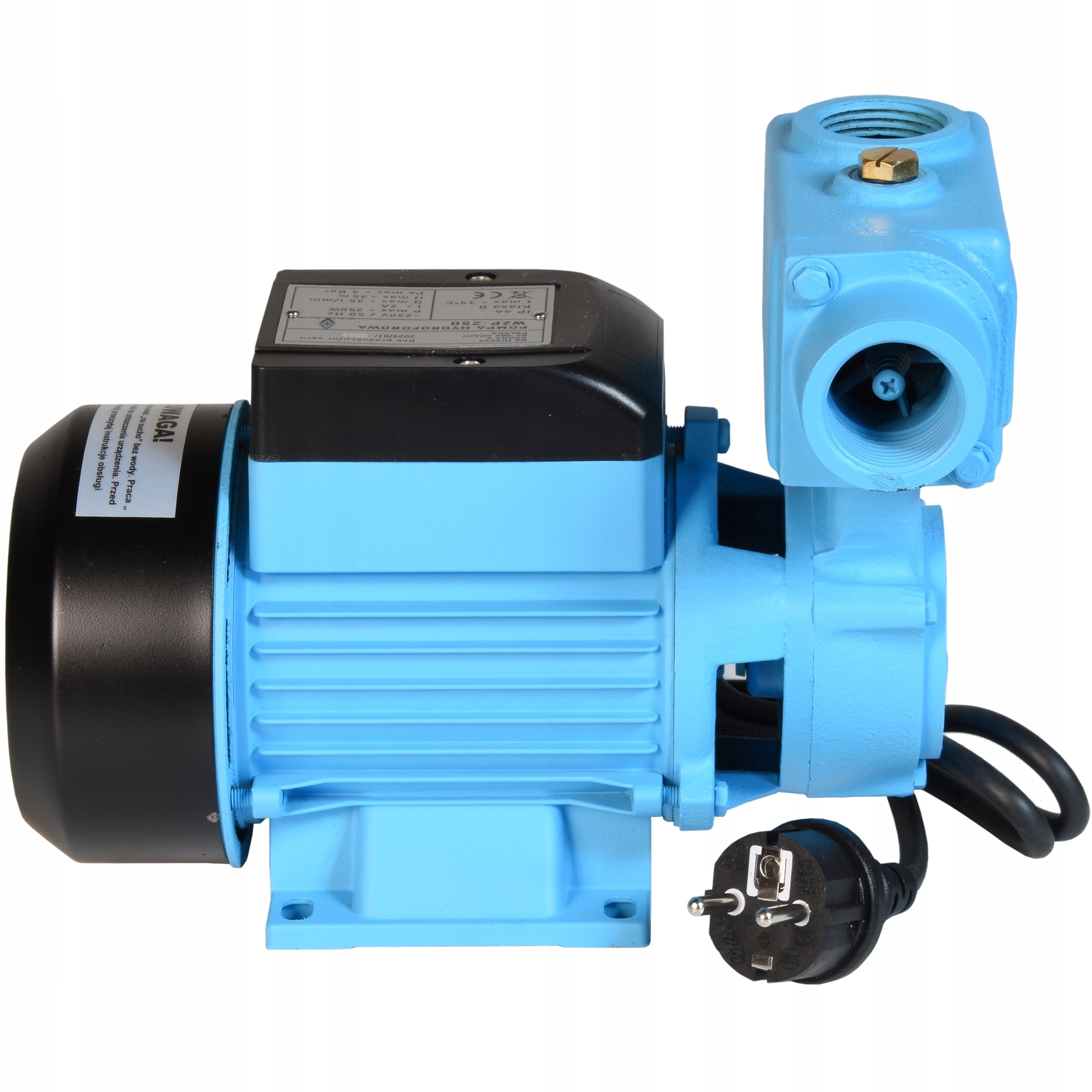 WZP 250 WATER PUMP WATERING WELL HYDROPHORE GARDEN +RETURN VALVE Engine power 250 W