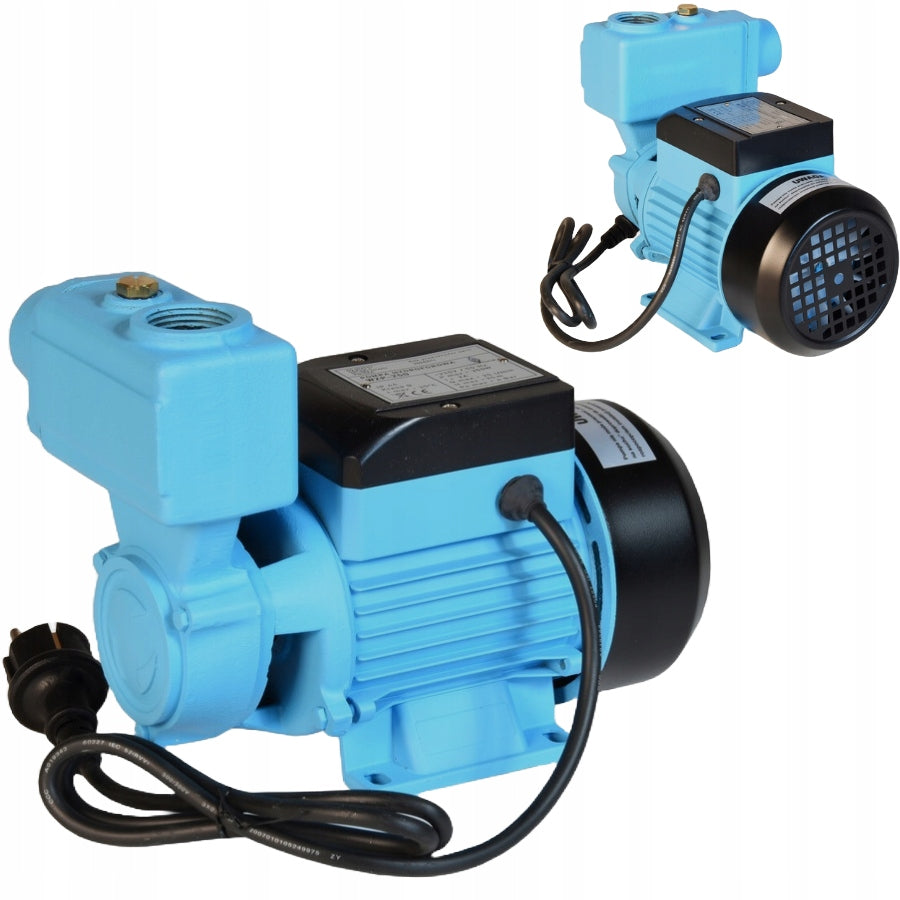 WZP 250 WATER PUMP WATERING WELL HYDROPHORE GARDEN +RETURN VALVE