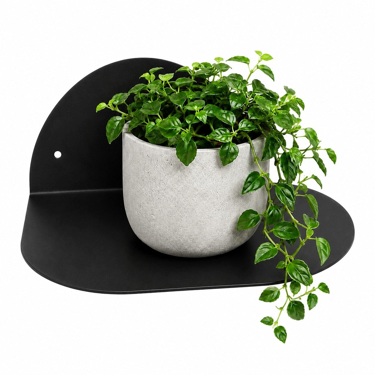 Wall shelf hanging metal loft 30x18 cm flowerbed black + screws Packaging status original