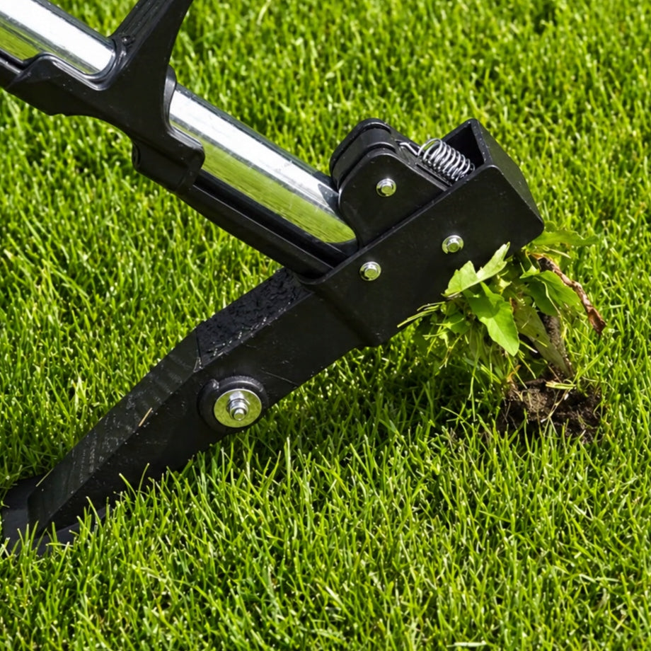 Weed Extractor Root Cutter with Telescopic Handle 100-120 cm DEDRA Tool weight 1.72 kg