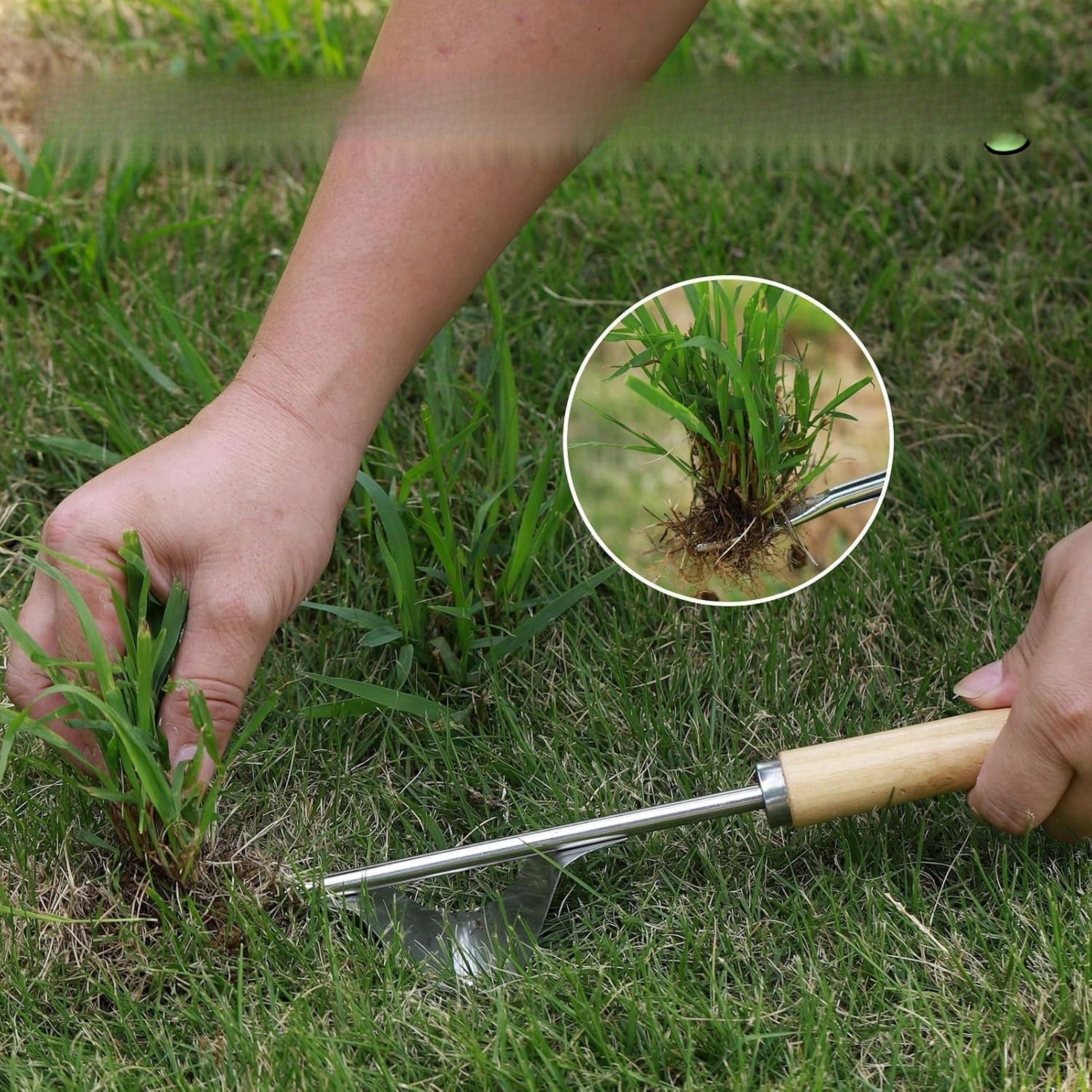 Weeder Handheld Weed Extractor with Root Stainless Steel Garden Packaging status original