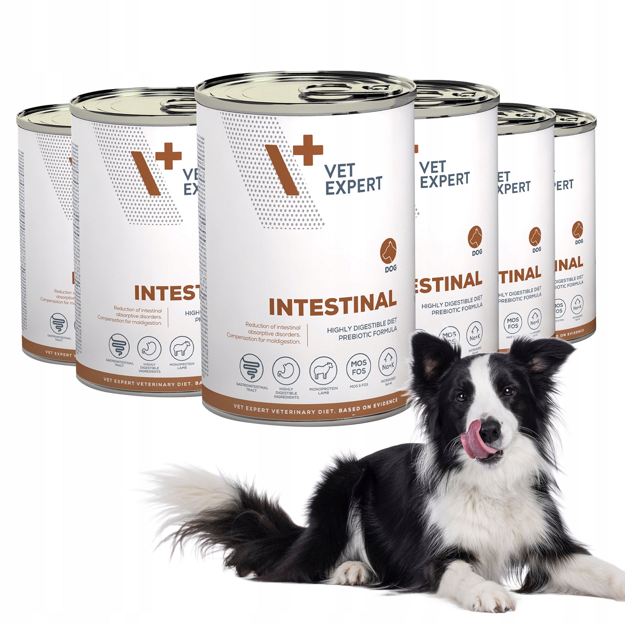 Wet food for dogs digestive problems Vet Expert Intestinal 6x400g