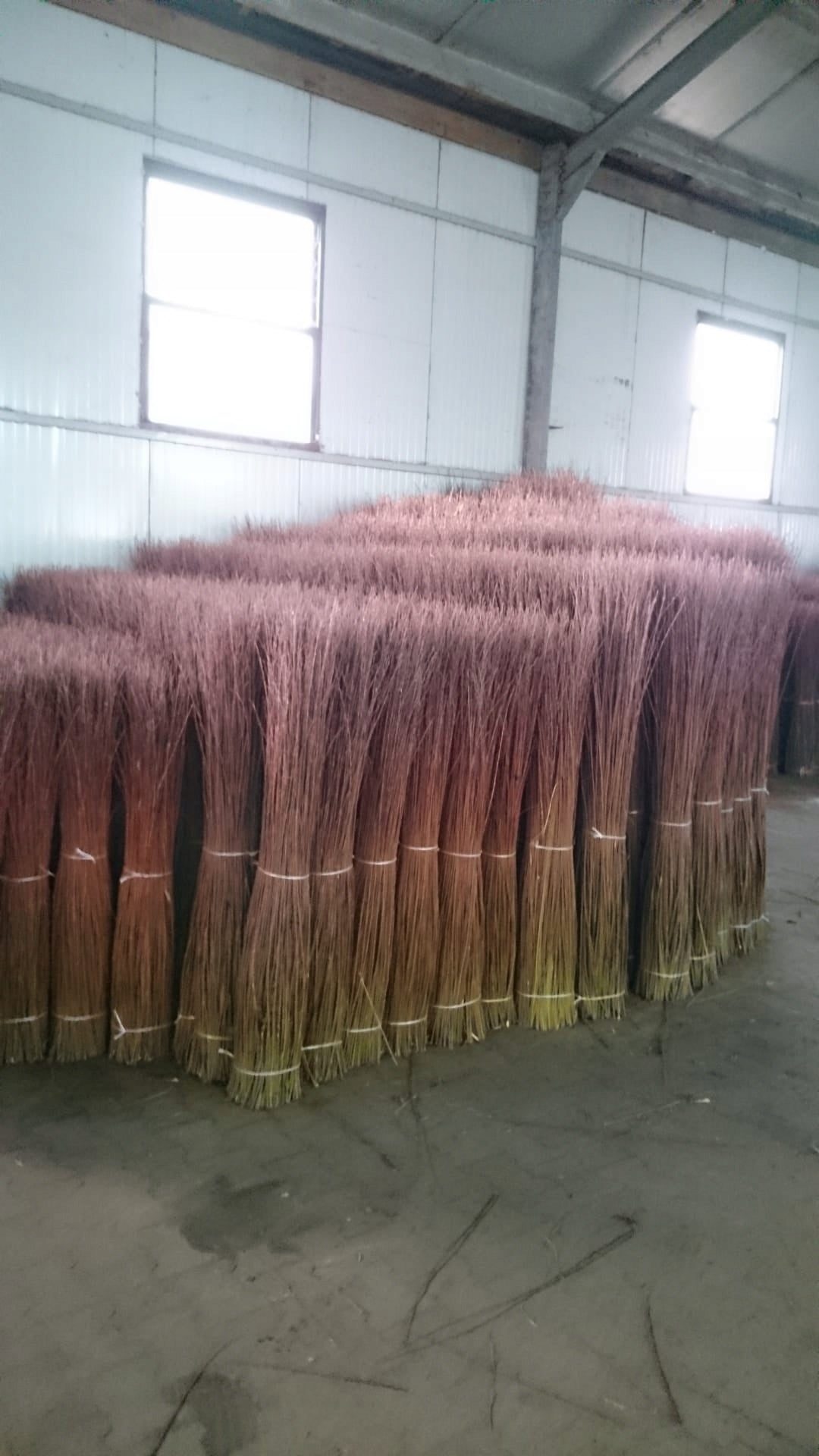 Wicker mat 100cm/500cm wicker mats wicker PREMIUM Brand no brand