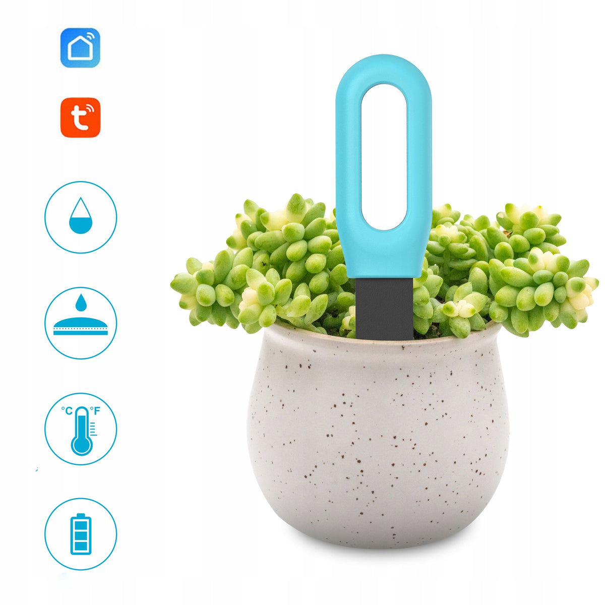 Wireless soil temperature and humidity sensor ZigBee pot Brand Tuya