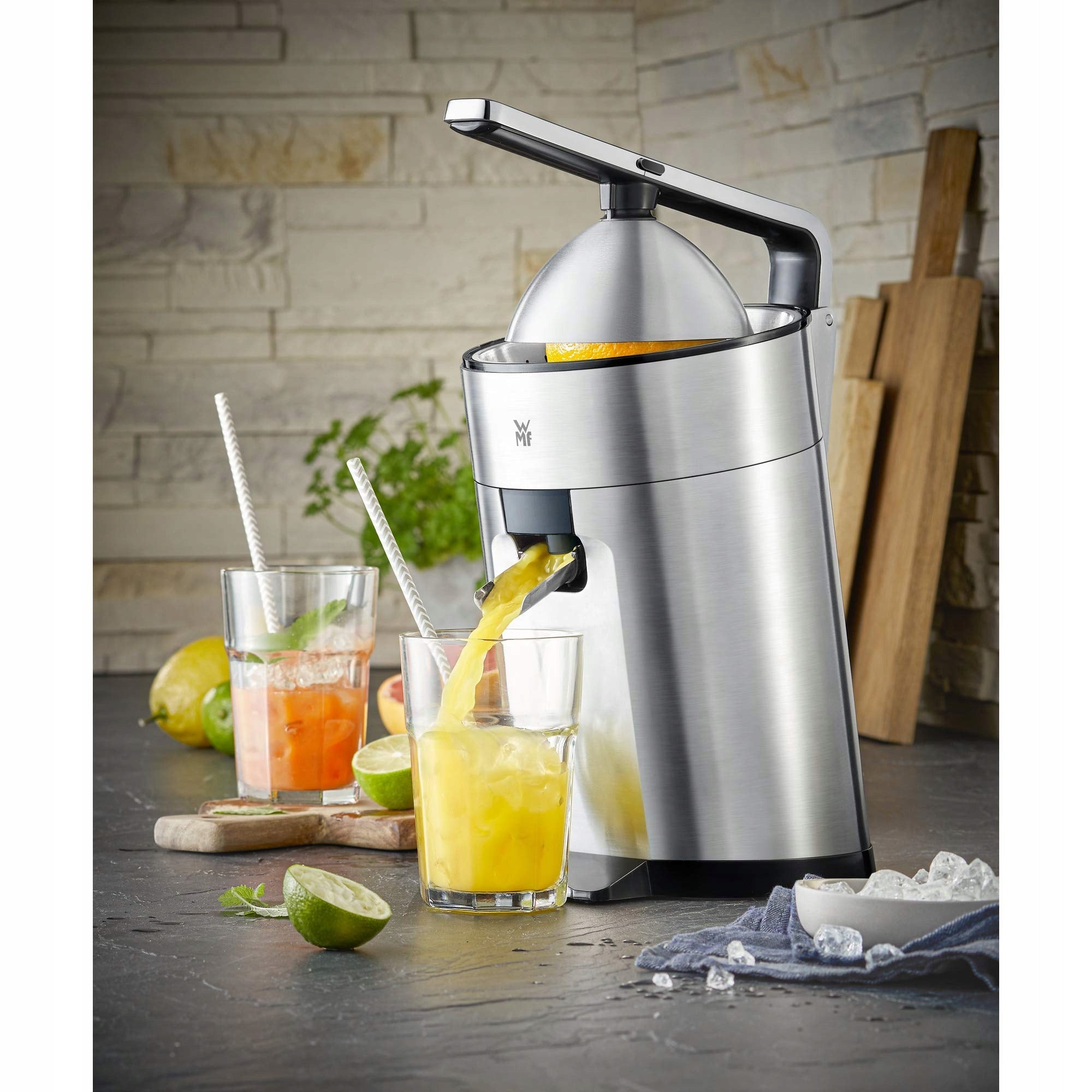 Wmf Profi Plus 416670011 citrus juicer 160W stainless steel Power rating 160 W