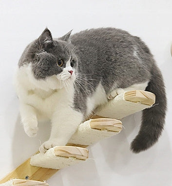 Wooden shelf with ladder on the wall bed for cat 64 Kind hammock