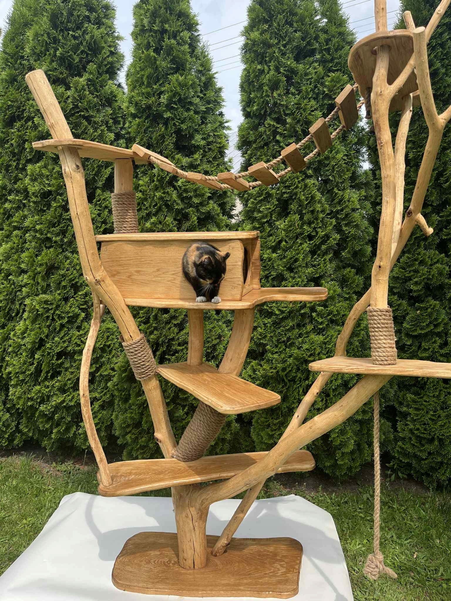 XXL oak wood cat scratcher 230 cm handmade solid nature Kind tall scratching post