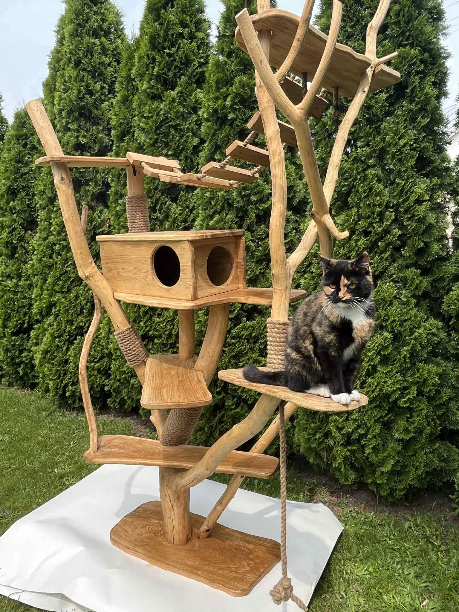 XXL oak wood cat scratcher 230 cm handmade solid nature Manufacturer code Drapak dla kota XXL