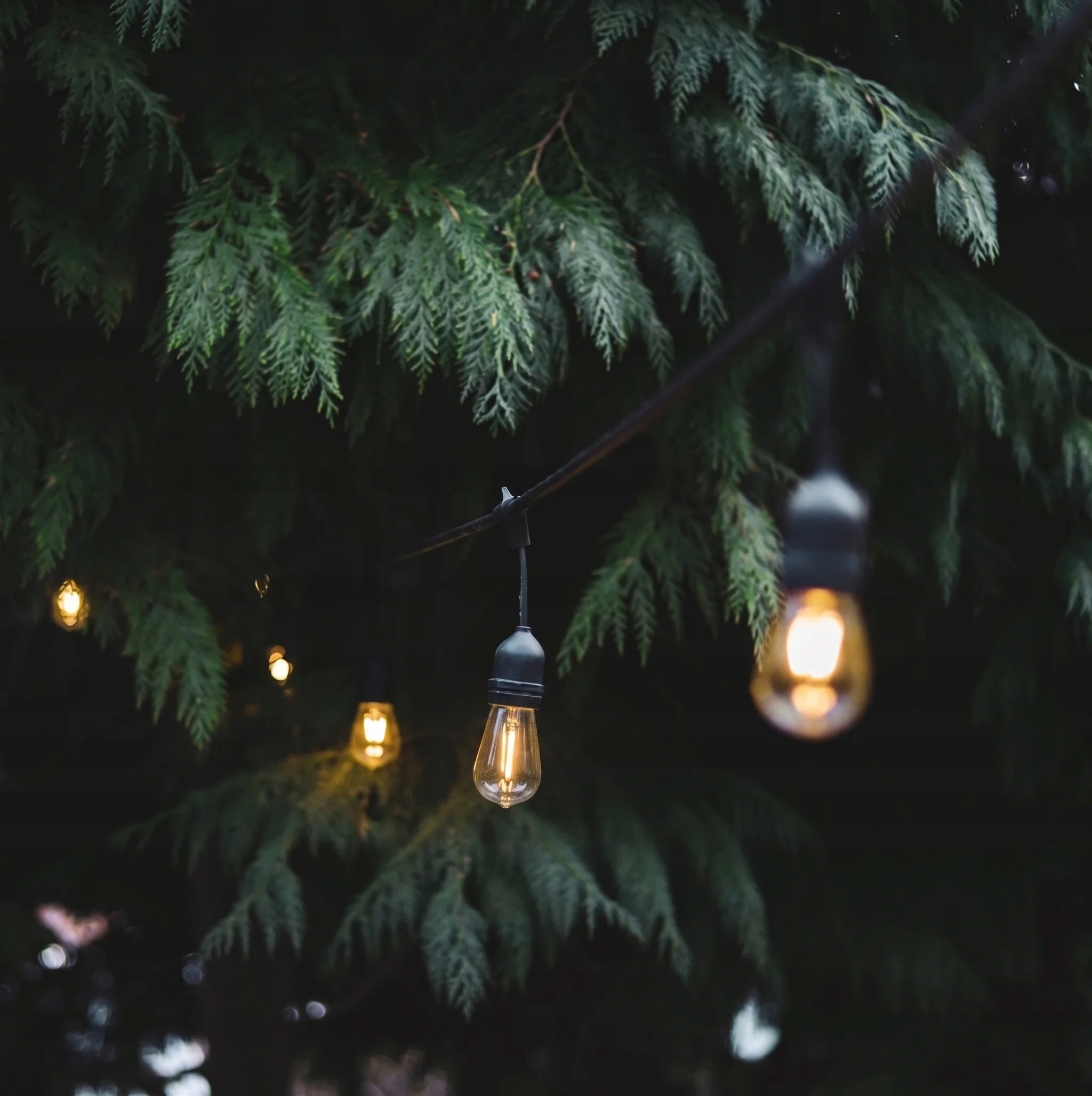 YEAR-ROUND GARDEN GARLAND LIGHT 10m 10x LED BULB E27 WATERPROOF Brand Interlook