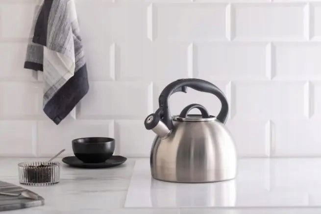 ZWIEGER KETTLE WITH WHISTLE STEEL GLOSS SILVER INDUCTION GAS FORTE 3 L Packaging status original