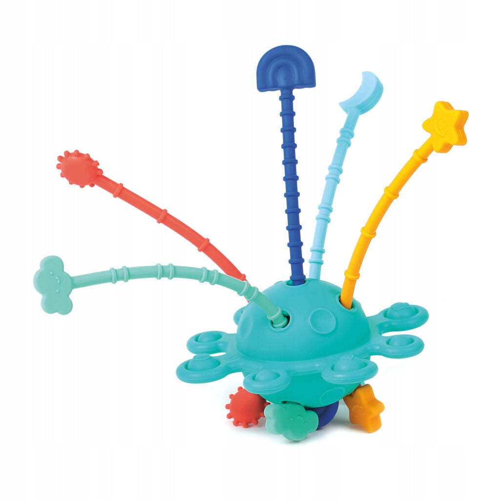 Zippy Manipulative Sensory Toy – LUDI Packaging status original