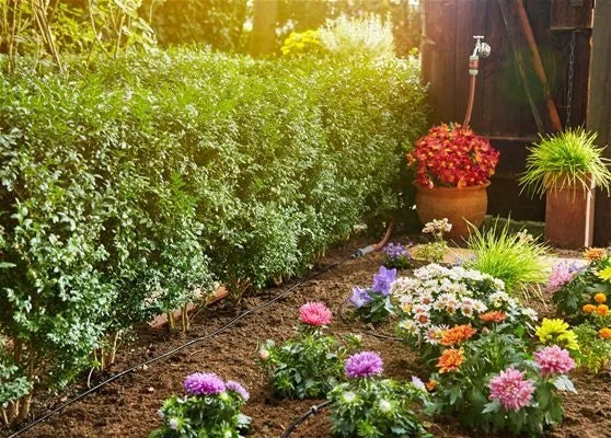 Laistymo žarna Gardena S Drip 13010, augalų eilėms
