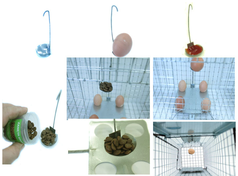 Spąstai žiurkėms, kiaunėms, audinėms, katėms HEDGEHOG PAW, Lenkija
