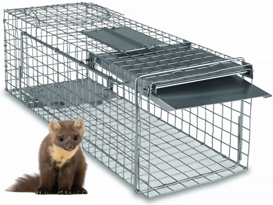 livetrap trap marten grace mink rats paw