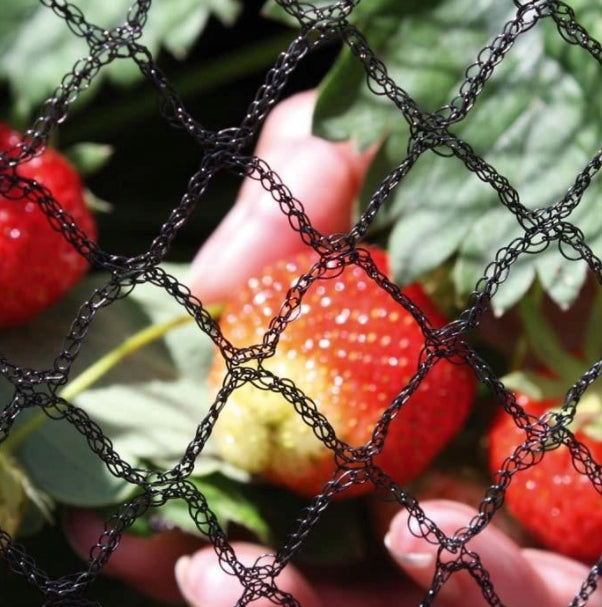 very STRONG STARLINGS NET 7,5m x 5m for BIRDS for aviary for trees with UV Height 5 m